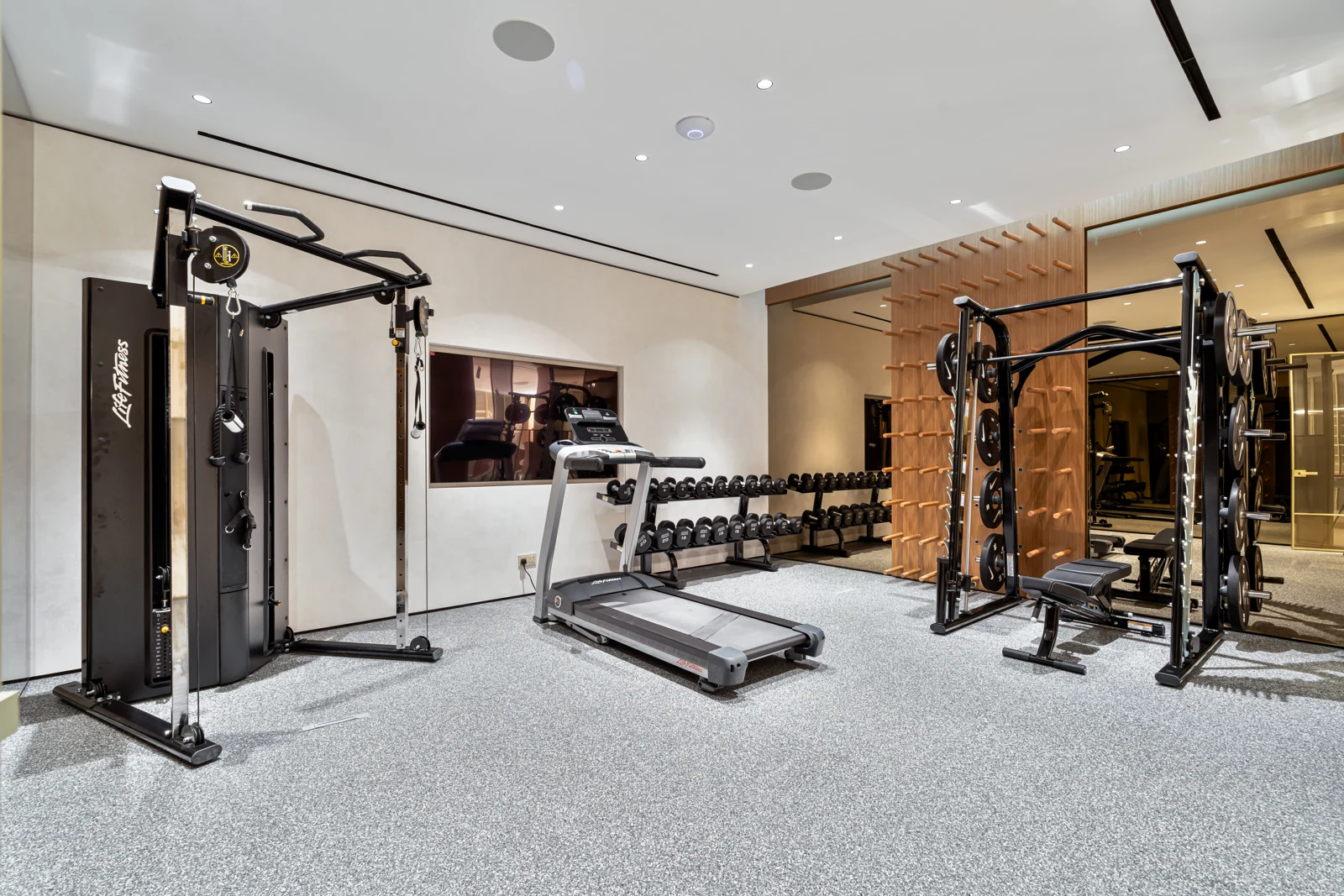 Private gym with weights and training equipment